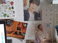 로지마의 타로 후기