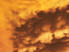 로코카 로그 백업