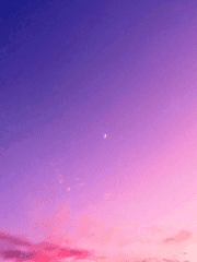 우리가 다시 만난 그곳에 잠든 기억