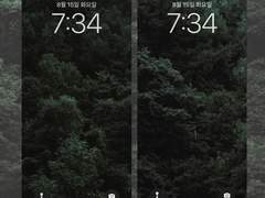 몽중림(夢中林)