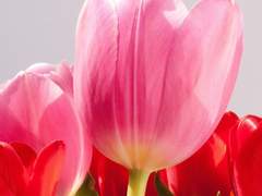 [대만주영] Hello?