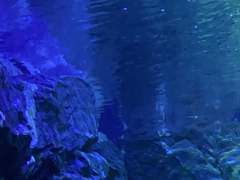 사람을 죽였습니다