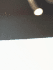 어떤 애완 뱀의 이야기