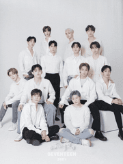 세븐틴의 96년생 홍일점