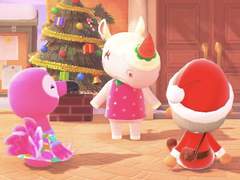 [동물의숲] 모동숲 스샷