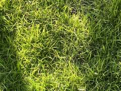 작은 것들의 세계