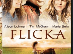 2D47) 내 사랑 플리카 (Flicka, 2006)