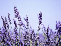 나의 평범한 그대에게 8화