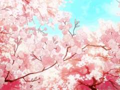 당청 [다시 만나요]