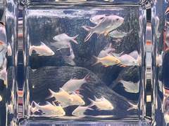 지금 기분이 어때