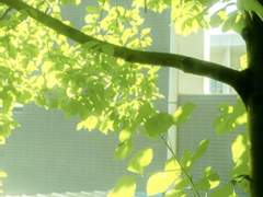 초록을 기억하는 방법