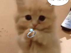 더보이즈 나페스 추천 1