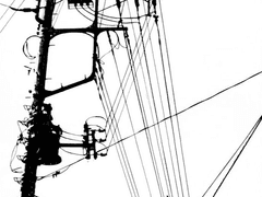 NN / 무성 / 고차원적 유기체