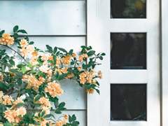 일단은 사랑해, 라고 말하지만