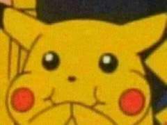 국대의 정체를 잘 아시는 익명의 제보자분이 보내주신 파일입니다