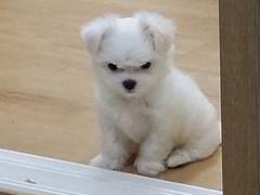 가벼운 센가물 끄적여보자