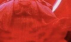 커룹들의 얼굴은 속죄판 쪽을 향해야 한다