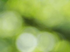 Green, 여름에 대하여 C.11 _ Run, from Devil, Run.