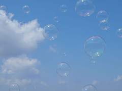 여름에 잡아 먹혀