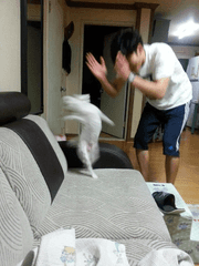 그러니까 이건 말이지