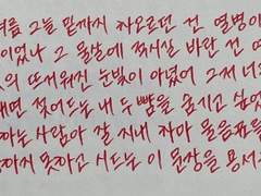 끝끝내 나는 그 겨울에서 봄으로 넘어가지 못했다