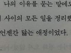 이미 추억된 것이었나 이미 부식된 것이었나
