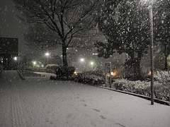 어둠 끝에 다시 난 새로 태어나