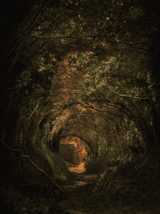 이세계 실험체 시리즈