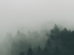 [미리보기] 완전한 가족 + 공지