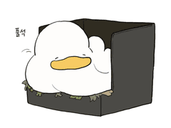 파닥파닥 대왕이네 45화