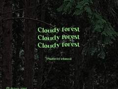 CHOMI│apk 흐린 숲 카카오톡 테마 - 안드로이드