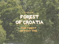 CHOMI│ios 크로아티아 숲 카카오톡 테마 - 아이폰