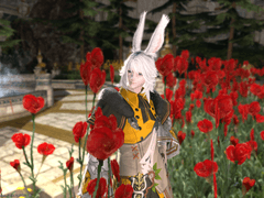 파판14 드림주 (빛전)