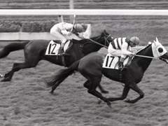 티엠 오페라 오 연재[23]