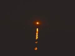 스트로베리 문 Strawberry moon 4