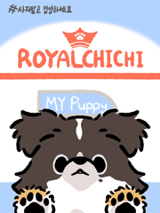 우리집 강아지 귀엽다