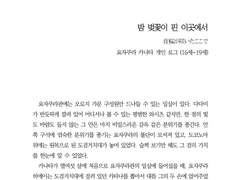 밤 벚꽃이 핀 이곳에서