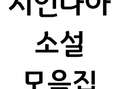 시인나아 현대 무협물 중 일부.