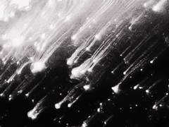 행동으로 논리를 대변하고