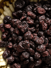 블레치료 (퓨바)