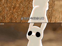 20230817 속았습니다