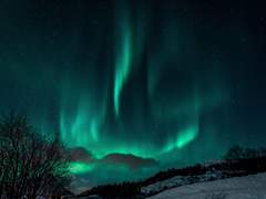 [팀케일] 남극별