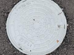 D+177 고춧가루까지 퍼주는 우정 💜