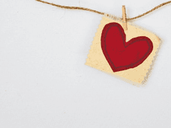 나의 첫사랑에게