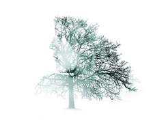 아브라카다브라