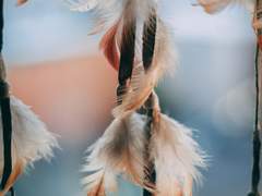 [종상] 모래의 바다 (6)