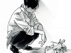 세일즈맨의 죽음