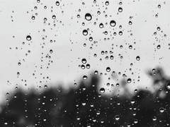 [잇쿱] 그대는 빗속에서 上