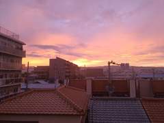 [DAY 129, 130, 131] 집 최고