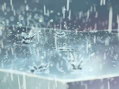 [화산귀환] 전쟁이 모두 끝나면.